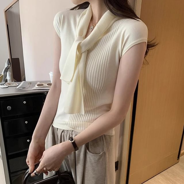 Plain V-Neck Short-Sleeved Knit Top