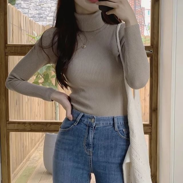 Turtleneck Solid Knit Top with Long Sleeves