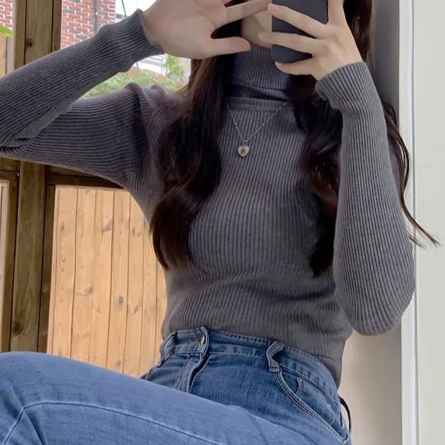 Turtleneck Solid Knit Top with Long Sleeves