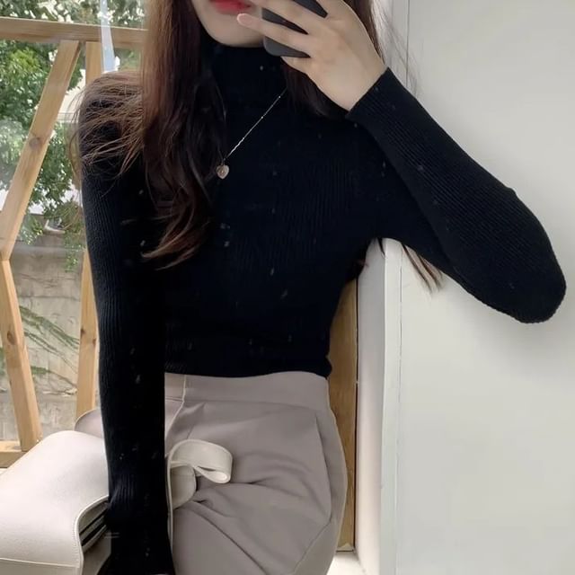 Turtleneck Solid Knit Top with Long Sleeves