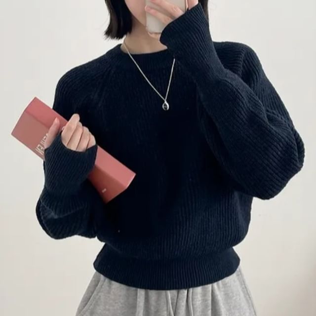 Ribbed Solid Sweater with Crewneck