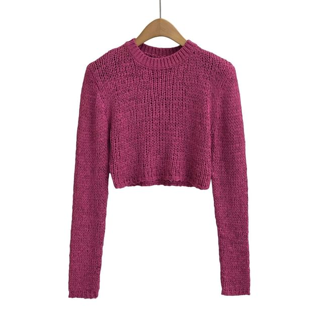 Perforated Crew Neck Crop Knit Top