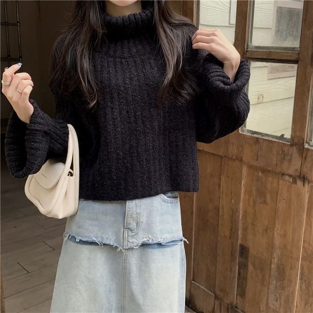 Ribbed Knit Turtleneck Pullover