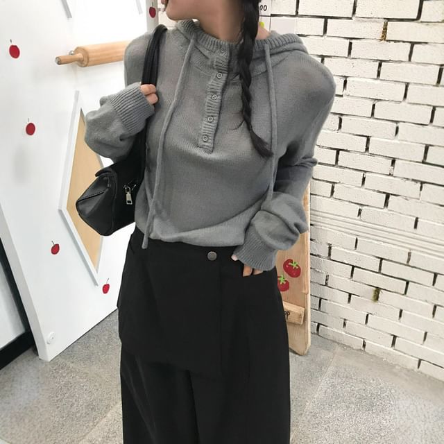 Hooded Henley Sweater Plain Style