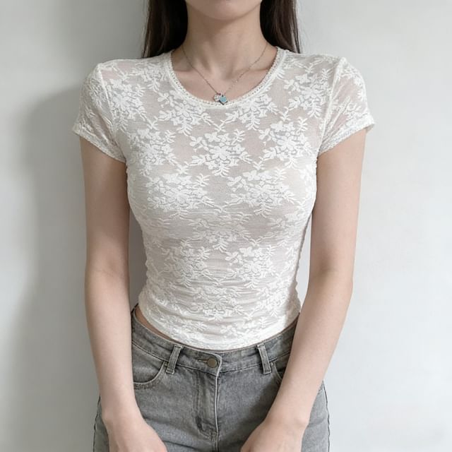 Crew Neck Crop Lace Top Short Sleeve
