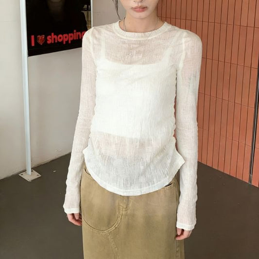 Sheer Crewneck Top with Long Sleeves