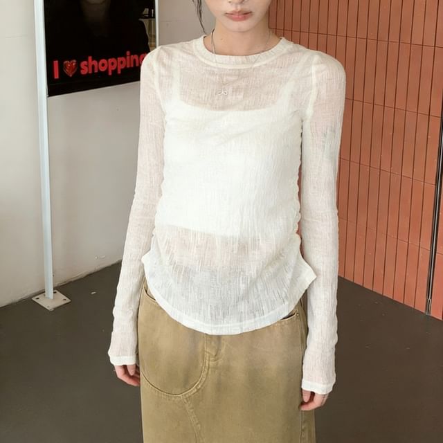 Sheer Crewneck Top with Long Sleeves