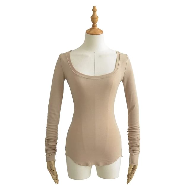 Sheer Slim Fit Scoop Neck Long Sleeve Top