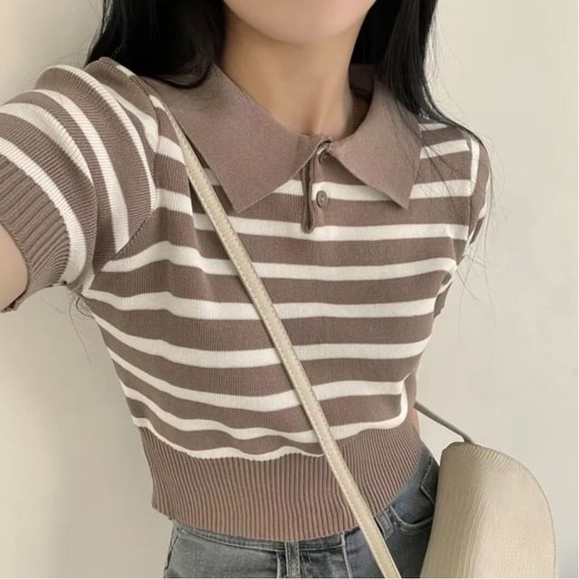 Striped Knit Polo Crop Top with Short Sleeves