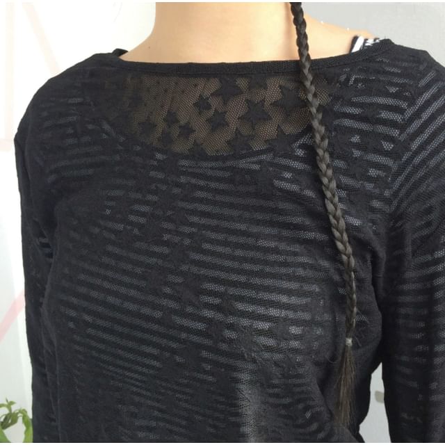 Long-Sleeve Crew Neck Sheer Lace Top