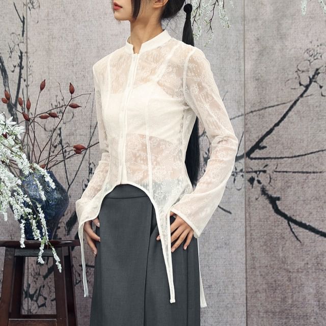 Long Sleeve Stand Collar Plain Lace Blouse