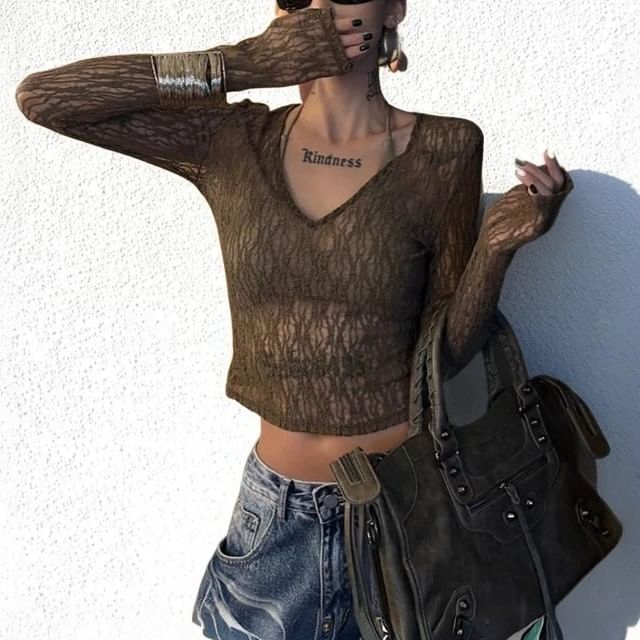 Long-Sleeve V-Neck Lace Crop Top