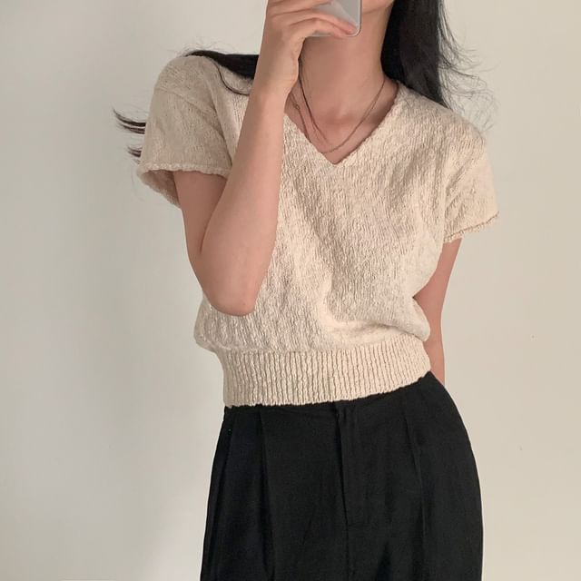 Solid V-Neck Short-Sleeve Knit Crop Top