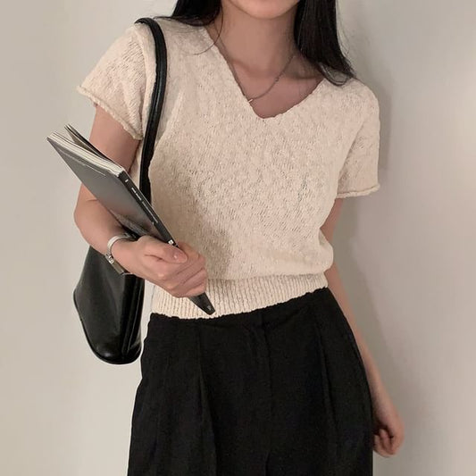 Solid V-Neck Short-Sleeve Knit Crop Top