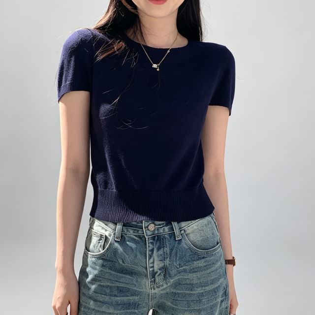 Crew Neck Plain Crop Knit Top