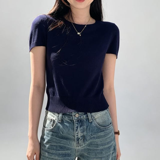 Crew Neck Plain Crop Knit Top