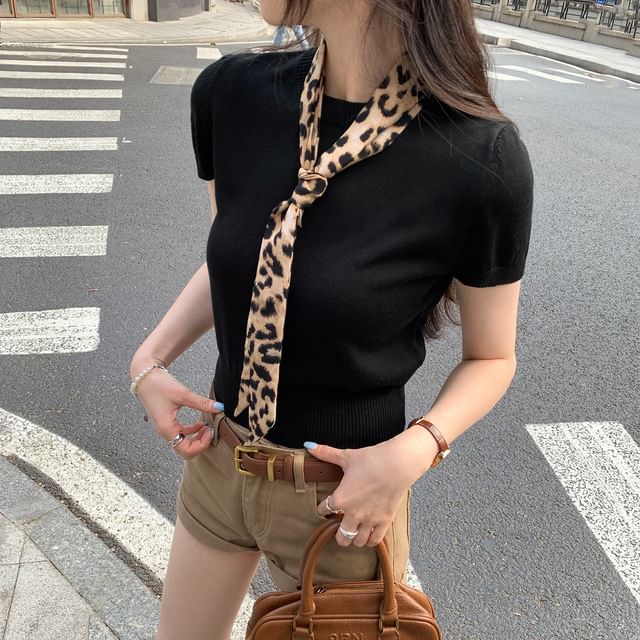 Crew Neck Plain Crop Knit Top
