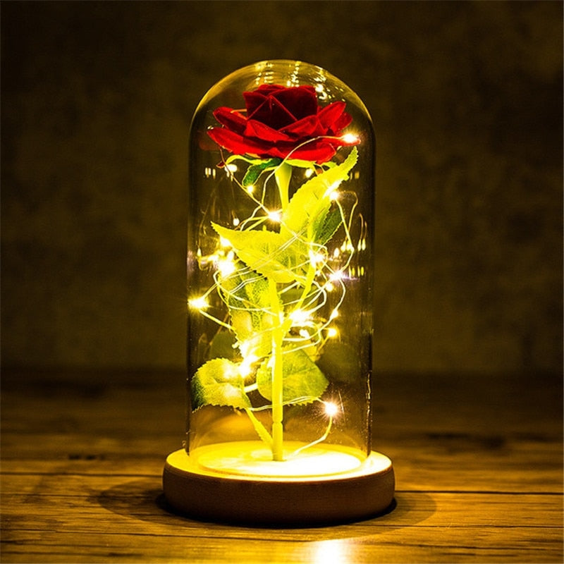 Immortal Rose Light - beauty and the beast, flower, flowers, lamp, lamps Kawaii Babe