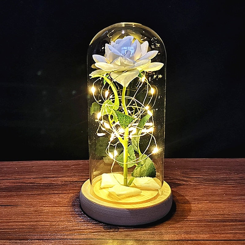 Immortal Rose Light - beauty and the beast, flower, flowers, lamp, lamps Kawaii Babe