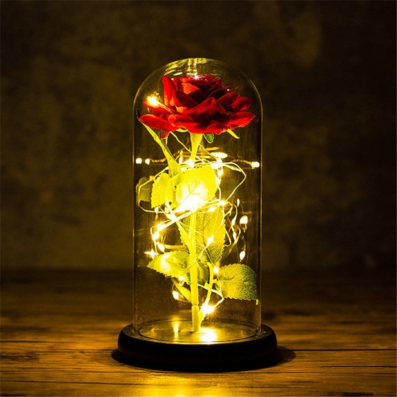 Immortal Rose Light - beauty and the beast, flower, flowers, lamp, lamps Kawaii Babe