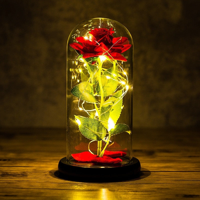 Immortal Rose Light - beauty and the beast, flower, flowers, lamp, lamps Kawaii Babe