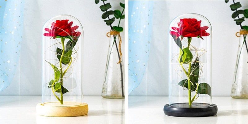 Immortal Rose Light - beauty and the beast, flower, flowers, lamp, lamps Kawaii Babe