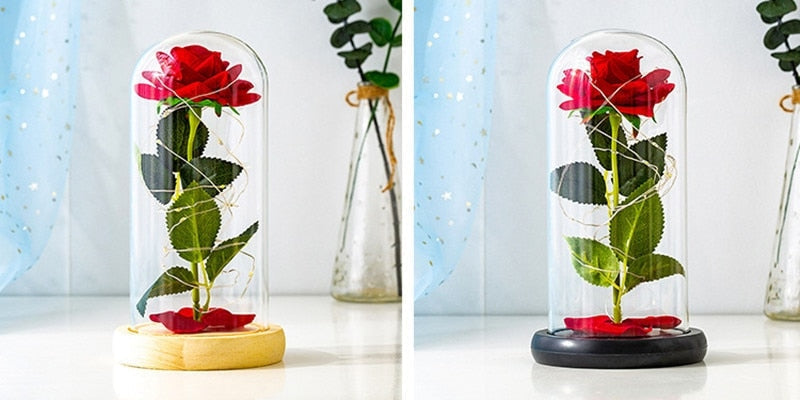 Immortal Rose Light - beauty and the beast, flower, flowers, lamp, lamps Kawaii Babe