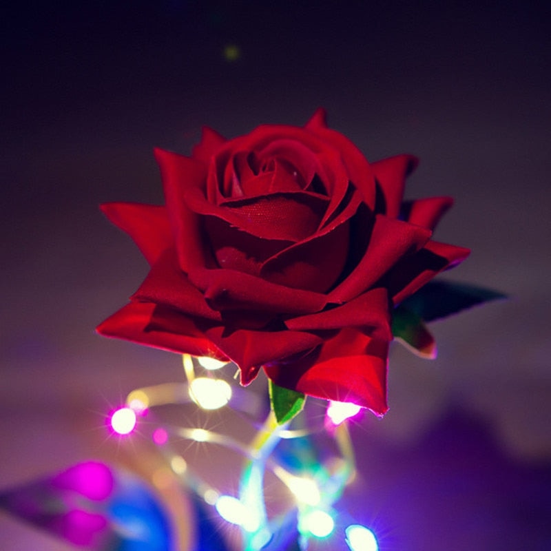 Immortal Rose Light - beauty and the beast, flower, flowers, lamp, lamps Kawaii Babe