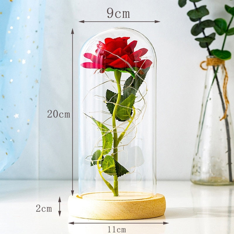 Immortal Rose Light - beauty and the beast, flower, flowers, lamp, lamps Kawaii Babe