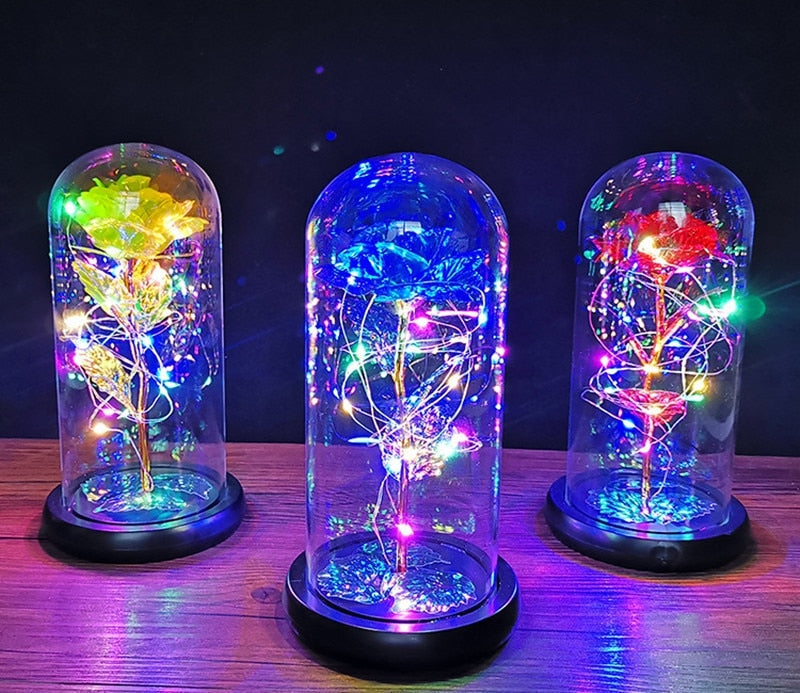 Immortal Rose Light - beauty and the beast, flower, flowers, lamp, lamps Kawaii Babe