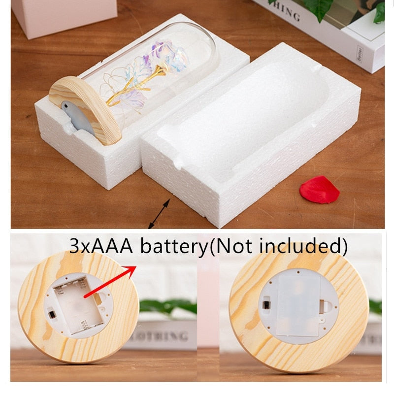 Immortal Rose Light - beauty and the beast, flower, flowers, lamp, lamps Kawaii Babe