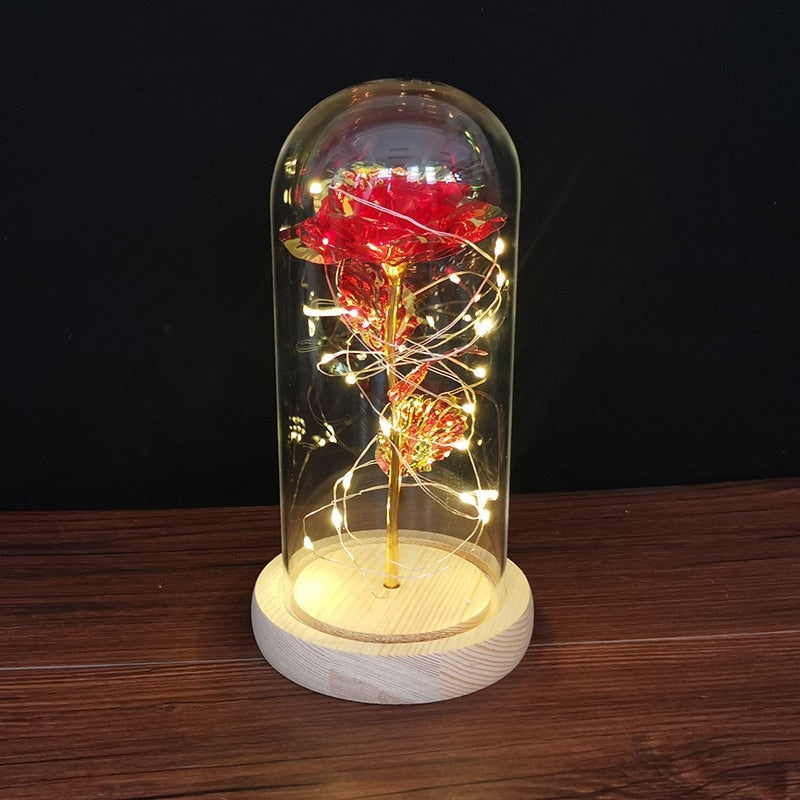 Immortal Rose Light - beauty and the beast, flower, flowers, lamp, lamps Kawaii Babe