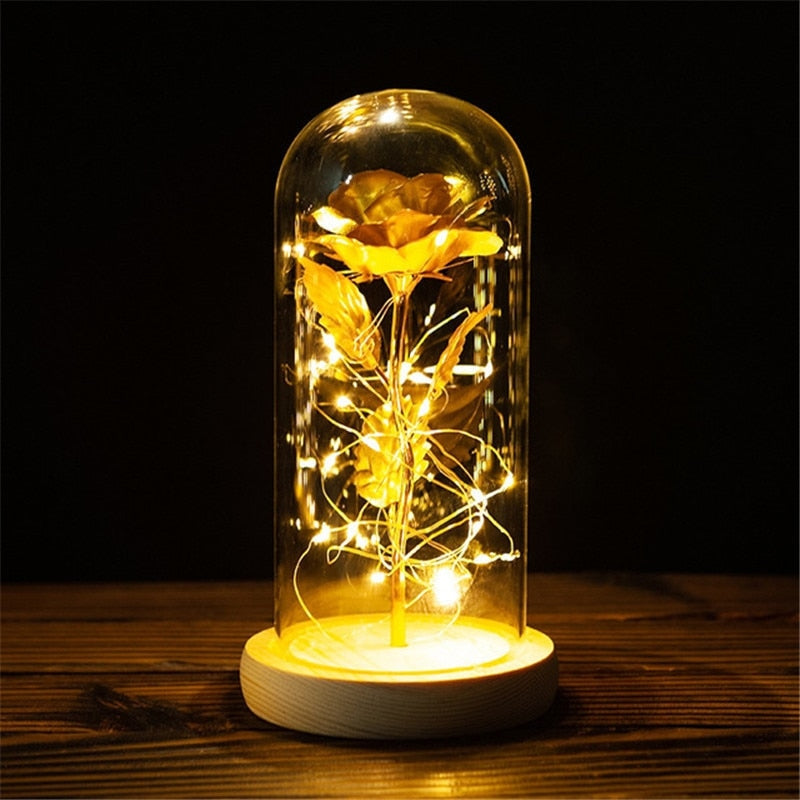 Immortal Rose Light - beauty and the beast, flower, flowers, lamp, lamps Kawaii Babe
