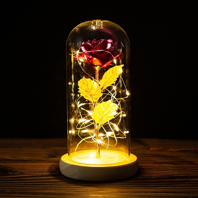 Immortal Rose Light - beauty and the beast, flower, flowers, lamp, lamps Kawaii Babe