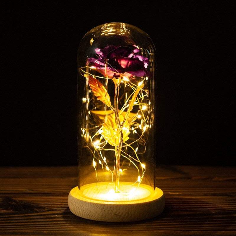 Immortal Rose Light - beauty and the beast, flower, flowers, lamp, lamps Kawaii Babe