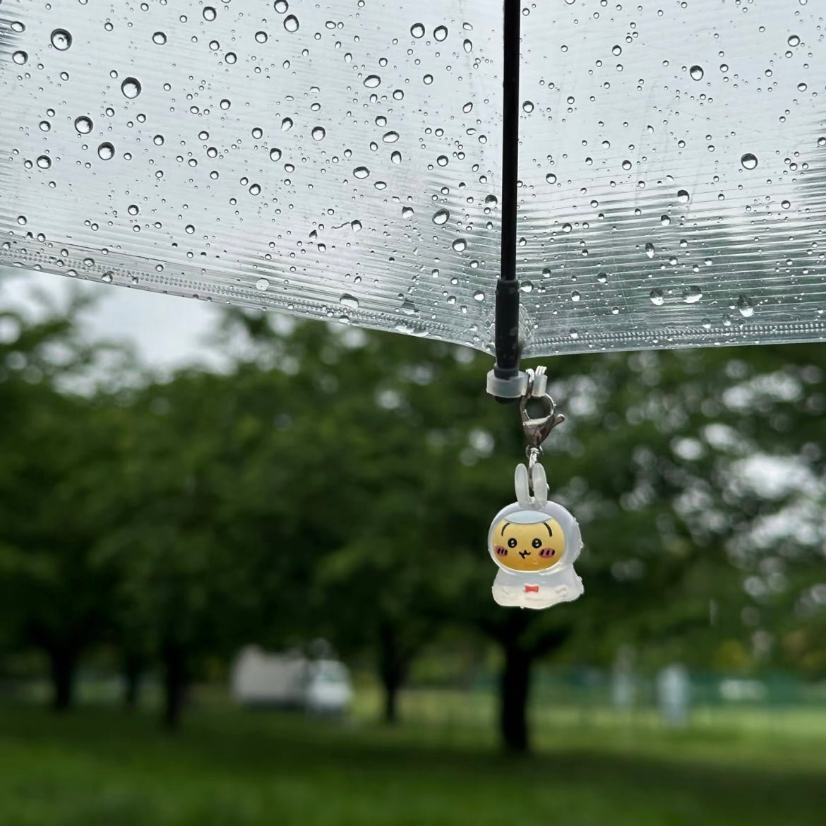Raincoat Kawaii Keychain Chiikawa Usagi Doll Hachiware