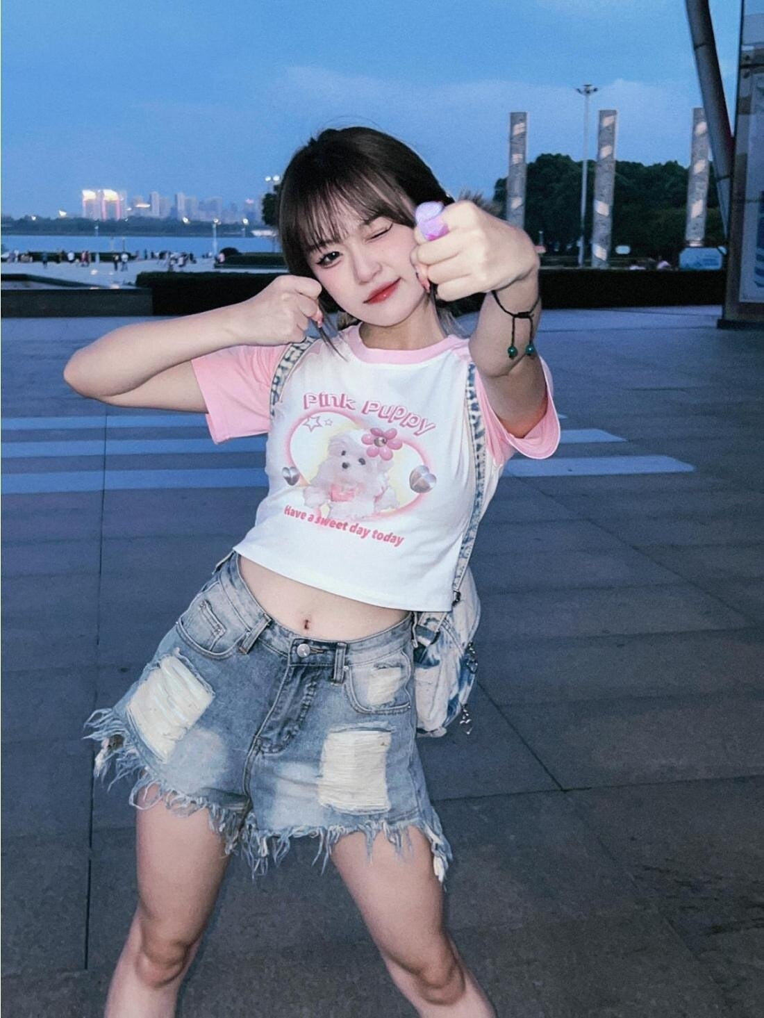 Pink puppy crop top - crop tops - cropped tee - top - dog - doggo