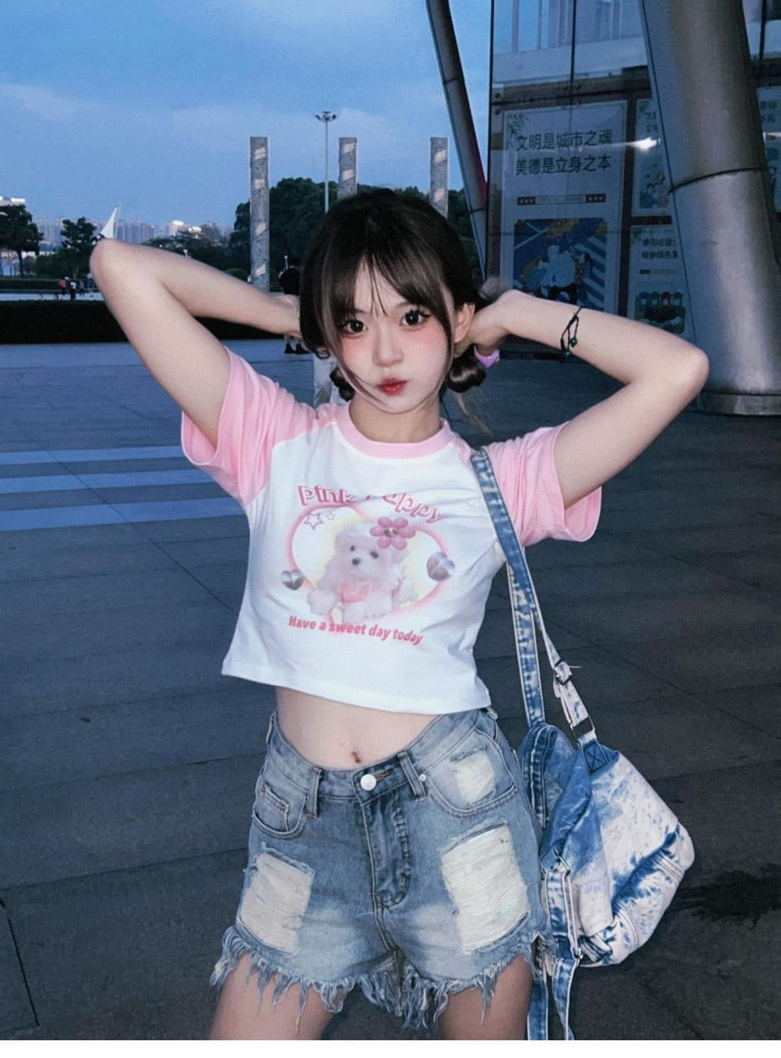 Pink puppy crop top - crop tops - cropped tee - top - dog - doggo