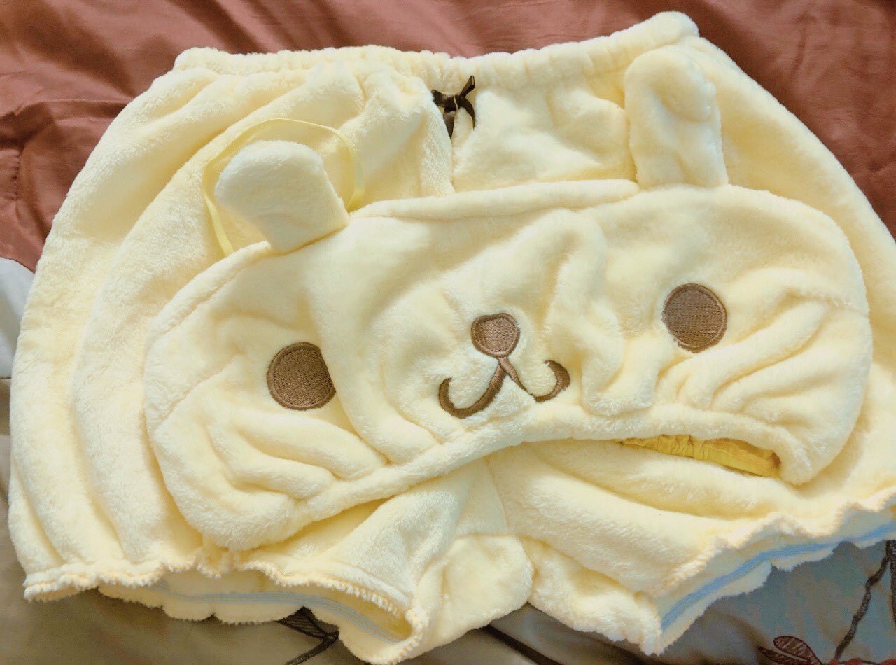 Pompompurin Lingerie Set - bloomers, bra and panties, panty, bras, brasier