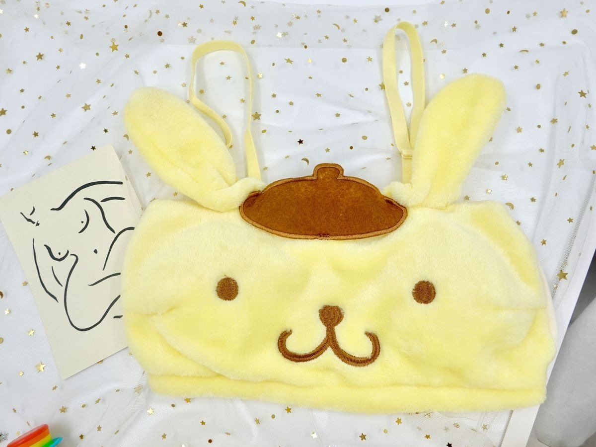 Pompompurin Lingerie Set - bloomers, bra and panties, panty, bras, brasier